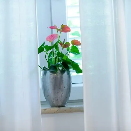 Apartment Antonella