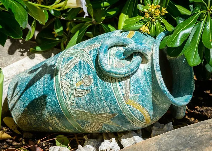 Antonella * دوبروفينك